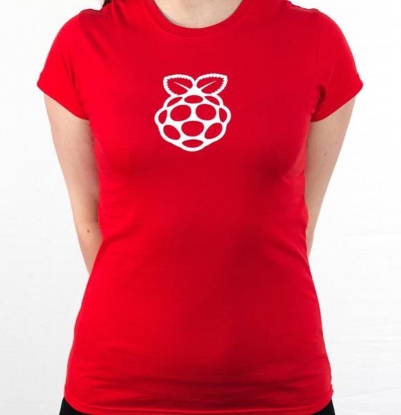 Ladies Round Neck Half Sleeves T-Shirts 03