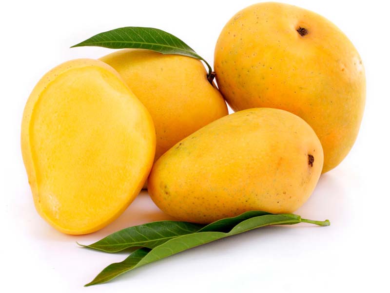 Ratnagiri Alphonso Mango 01