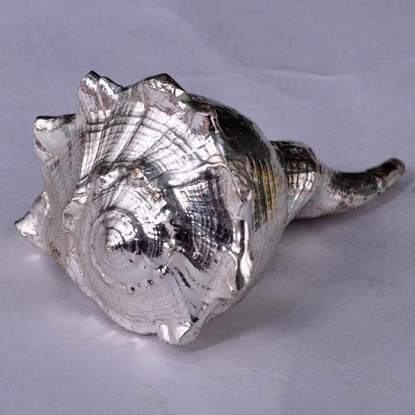 Silver Plated Dakshinavarti Shankh