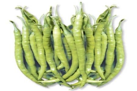 Savitri Chilli Seeds