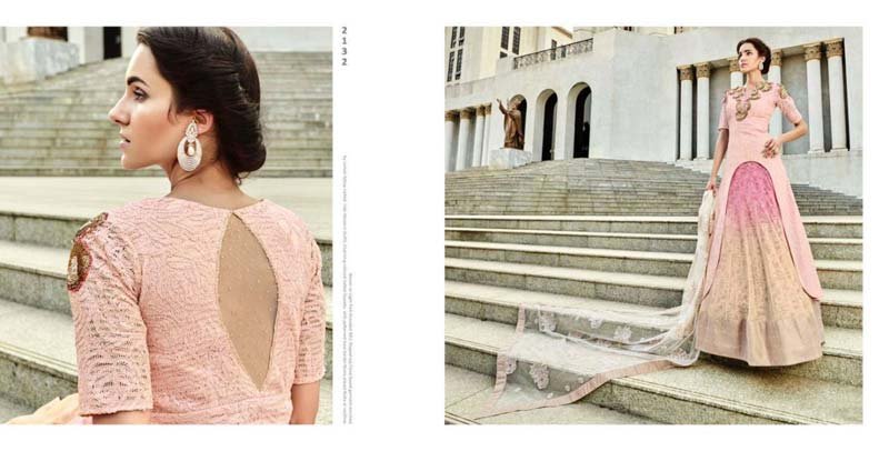 Ladies Anarkali Suits (2132)