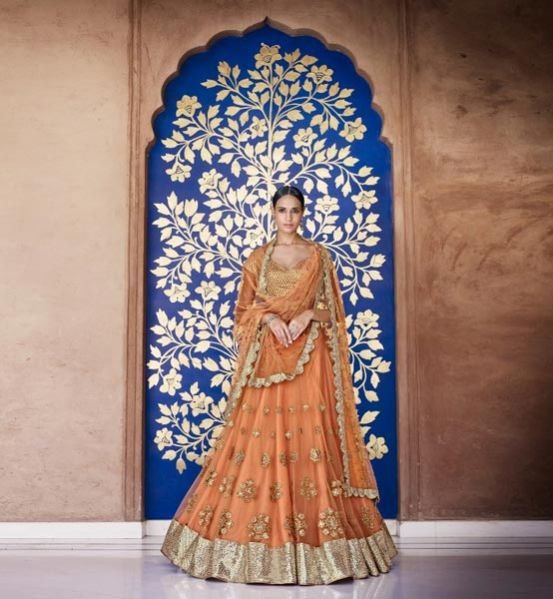 Party Wear Lehenga Choli (5049)