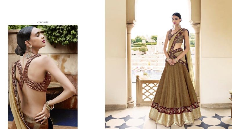 Party Wear Lehenga Choli (5053)
