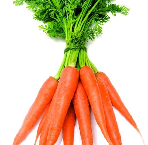 Fresh Carrot 01