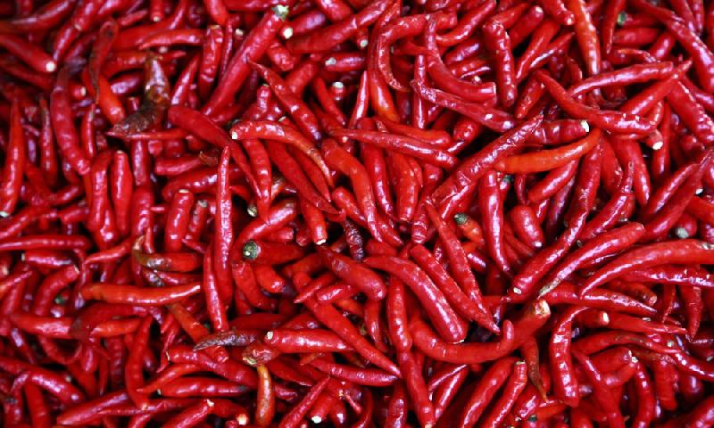 Dried Red Chilli 02