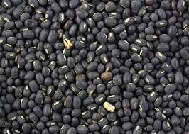 Whole Urad Dal 01