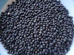 Whole Urad Dal 05