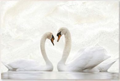 HL 2 Series Digital Ceramic Wall Tile (1009-HL 2)