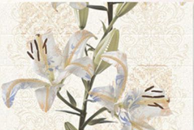 HL-B Series Digital Ceramic Wall Tile (1043-HL B)