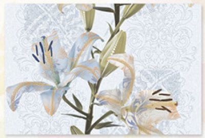 HL-B Series Digital Ceramic Wall Tile (1067-HL B)