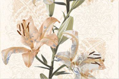 HL-B Series Digital Ceramic Wall Tile (1068-HL B)