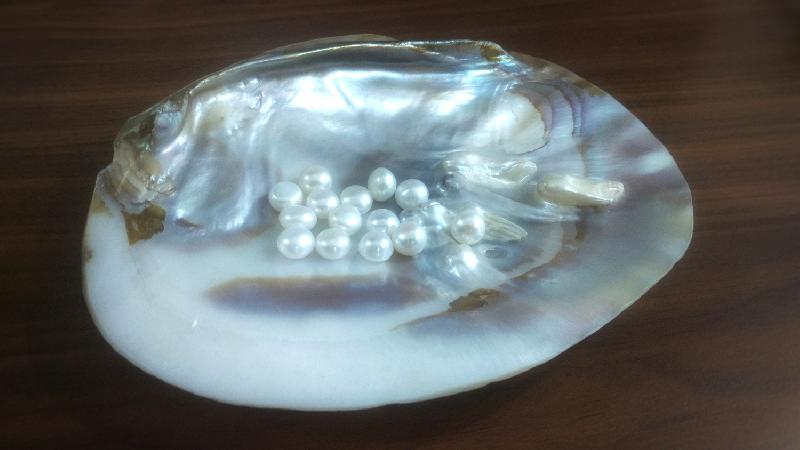 Loose Pearl (WJLP_8)