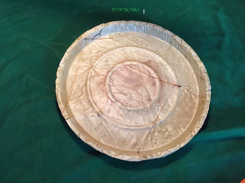 Dried Sal Leaves Plate 02