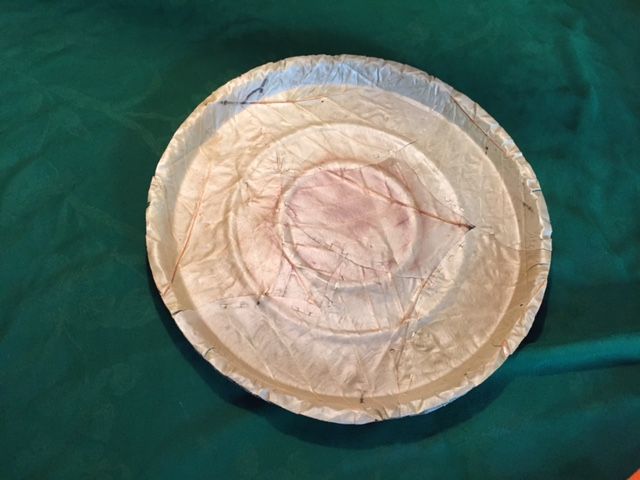 Dried Sal Leaves Plate 05