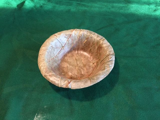 Dried Sal Leaves Plate 06