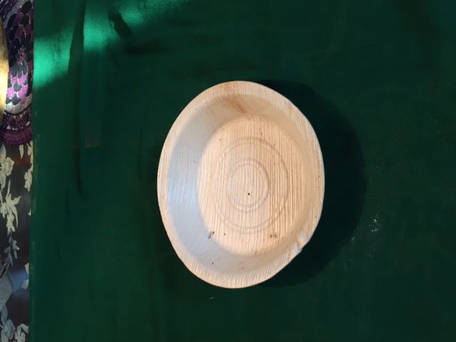 Dried Sal Leaves Plate 11