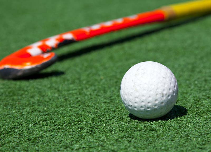 Artificial Grass / Turf 01