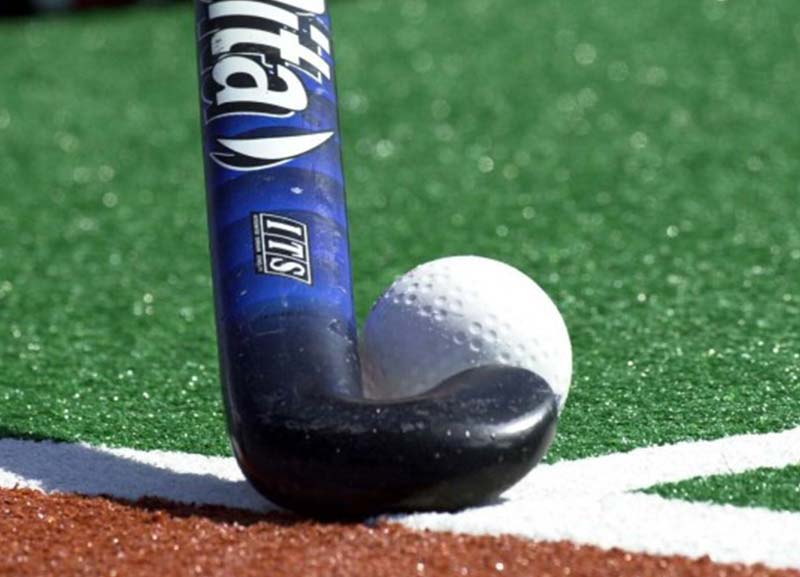 Artificial Grass / Turf 02