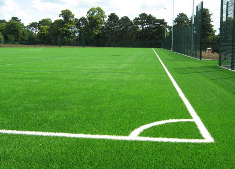 Artificial Grass / Turf 03
