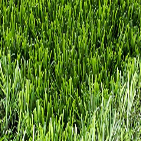 Artificial Grass / Turf 04