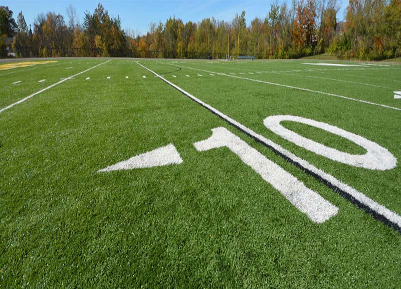 Artificial Grass / Turf 05