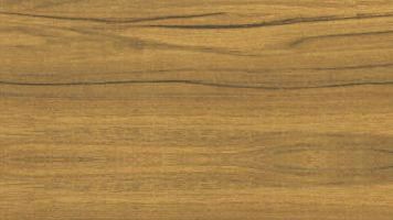 American Walnut (4147)