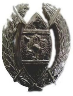 Image 01
