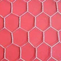 Chicken Wire Mesh Belt