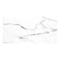 Stavario Digital Wall Tiles (300 X 600MM)