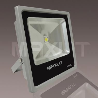 LED Flood Light(100W)