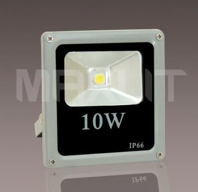 LED Flood Light (10W)
