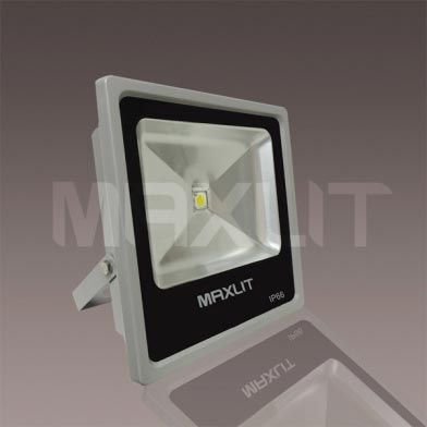 LED Flood Light (30W)