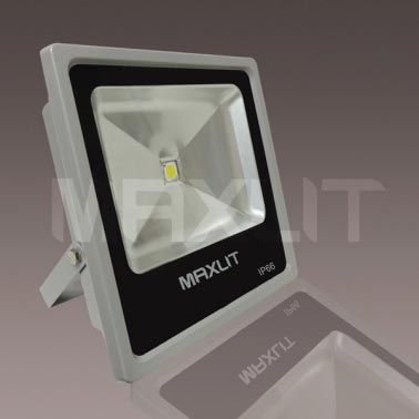 LED Flood Light (50W)