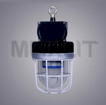 Non FLP LED Well Glass Lamp (30w)