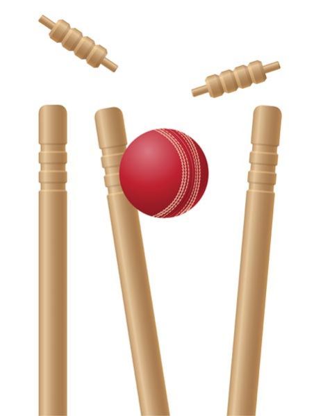 Cricket Stumps