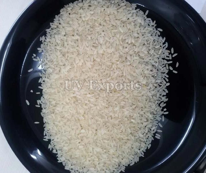 IR 3664 LONG GRAIN SELA RICE 5% BROKEN