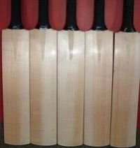 Cricket Bat