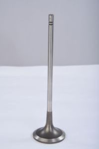Engine Valve 02