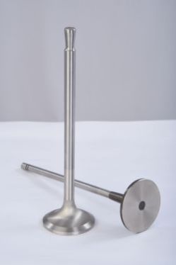 Engine Valve 03