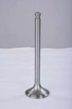 Engine Valve 04