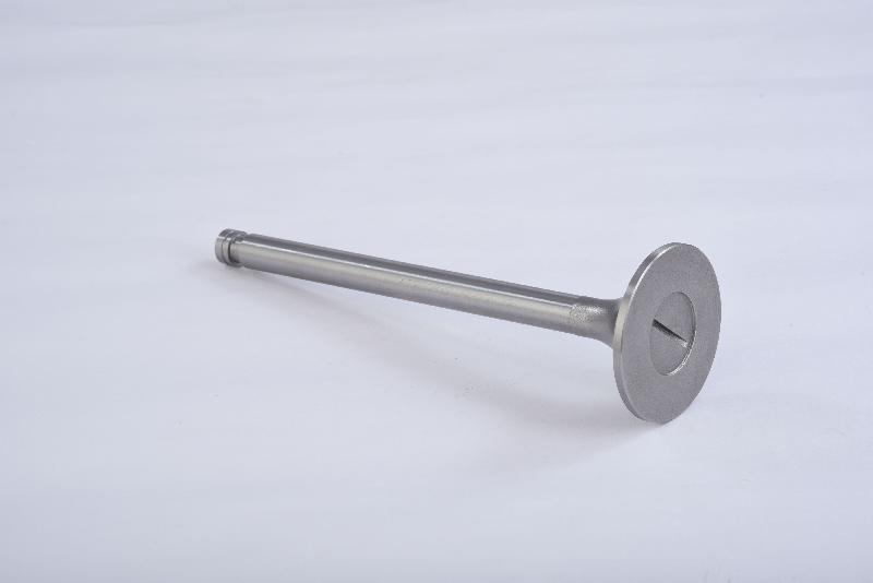 Engine Valve 05