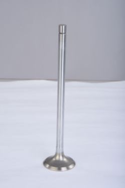 Engine Valve 06