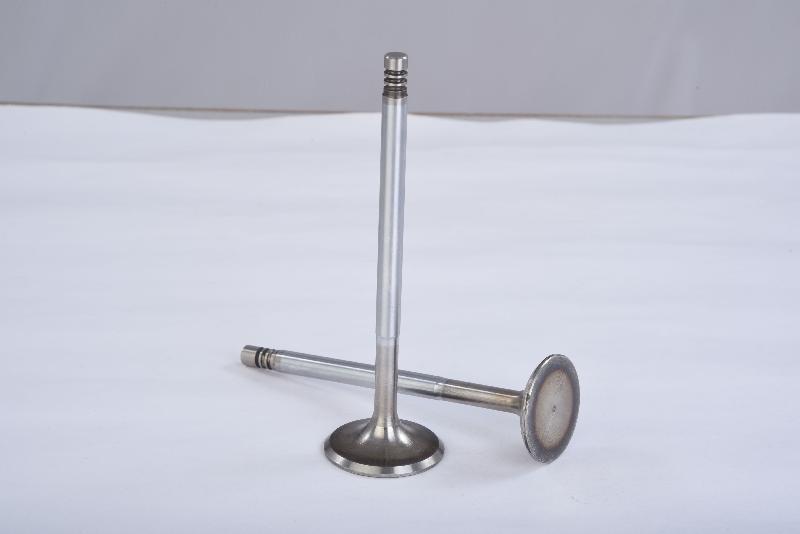 Engine Valve 07