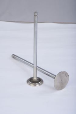 Engine Valve 09