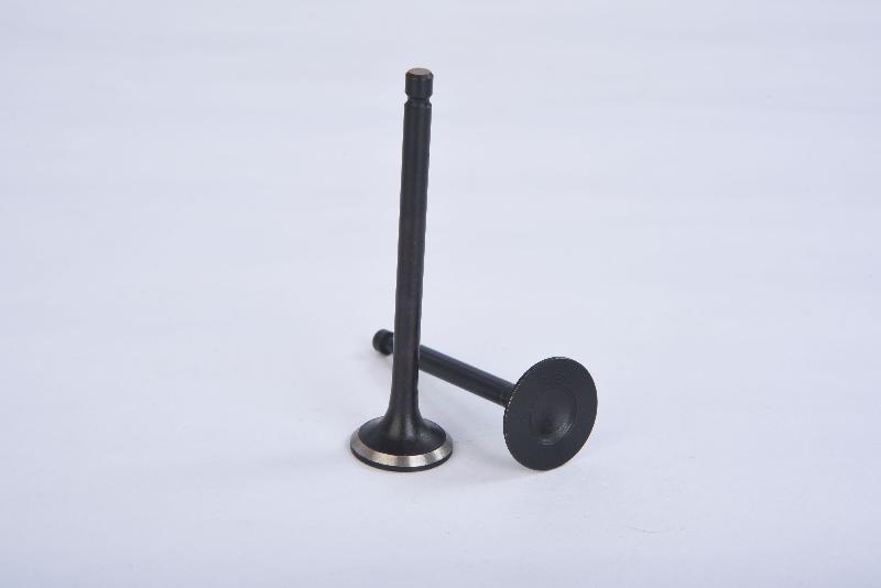 Engine Valve 11
