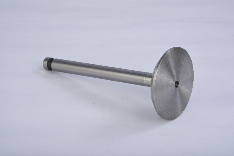 Engine Valve 15