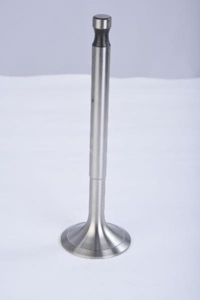 Engine Valve 16