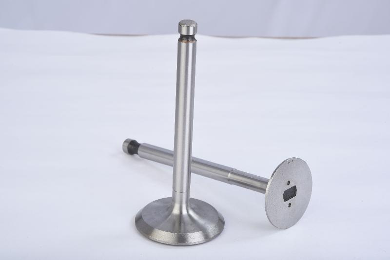 Engine Valve 18