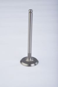 Engine Valve 19