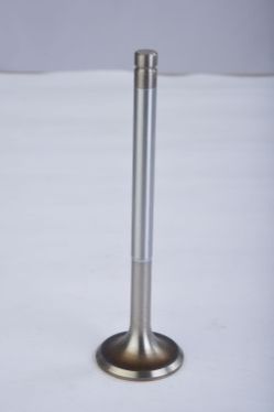 Engine Valve 20